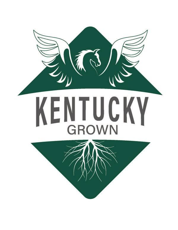 Kentucky Grown 